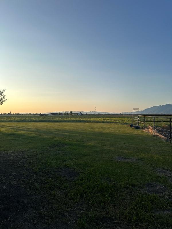 151 Equestrian Ln in Kalispell, MT - Building Photo - Building Photo