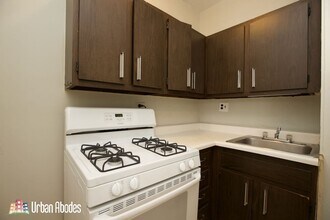 3713 N Pine Grove Ave, Unit M01B in Chicago, IL - Building Photo - Building Photo