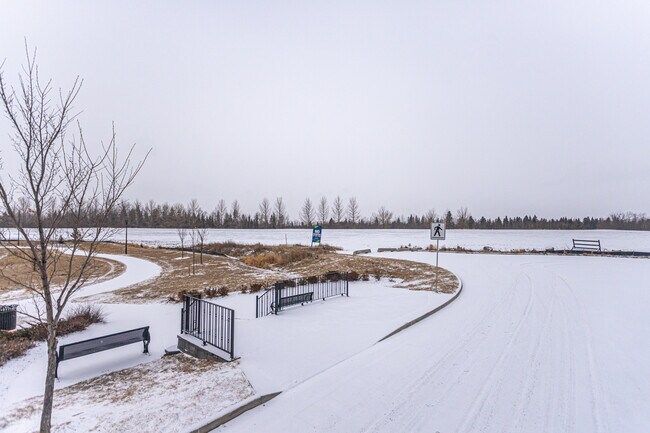 Cahsman Crescent Townhomes in Edmonton, AB - Building Photo - Building Photo