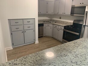 117 N Gregory St in Aurora, IL - Building Photo - Building Photo
