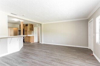 911 Orangeview Dr in Largo, FL - Building Photo - Building Photo