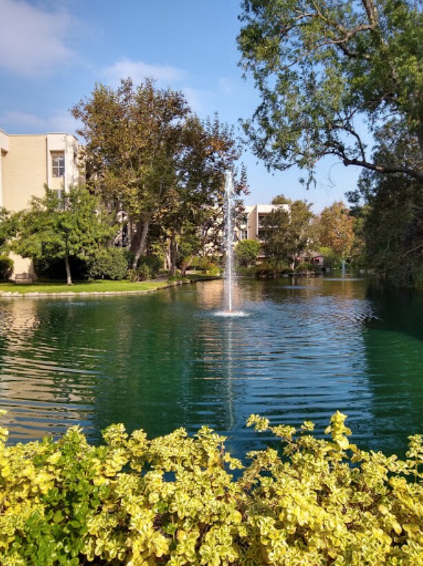 7315 Raintree Cir Rentals in Culver City, CA