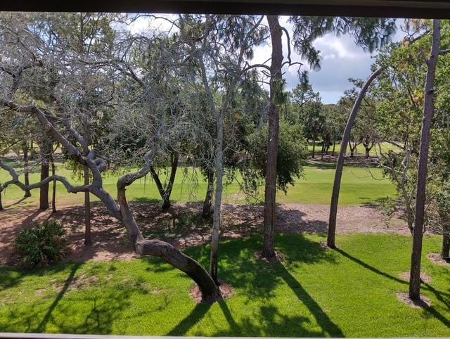 property at 36750 US Hwy 19 N