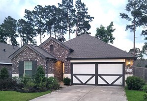 338 Honey Mesquite Path in Willis, TX - Building Photo