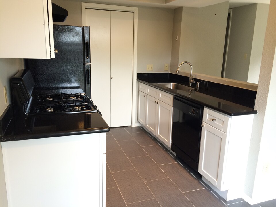 6003 Cougar Dr in Austin, TX - Building Photo