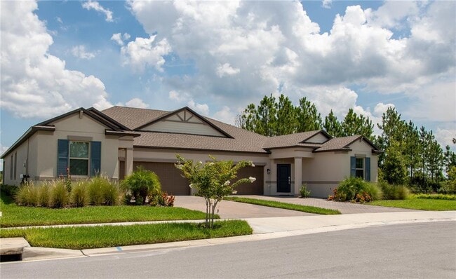 10125 Campanula Ct in Land O Lakes, FL - Building Photo - Building Photo