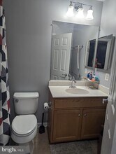 42677 Redeemer Terrace in Ashburn, VA - Building Photo - Building Photo