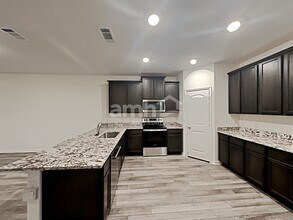 1198 Treeta Trail in Kyle, TX - Building Photo - Building Photo