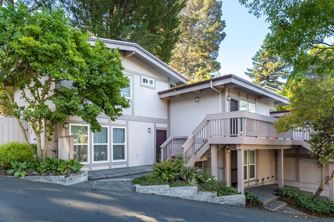 South Knoll Apartments in Mill Valley, CA - Building Photo