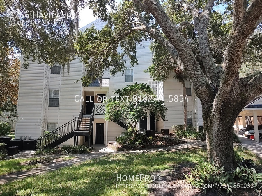 3266 Haviland Ct in Palm Harbor, FL - Building Photo