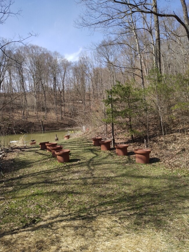 property at 11097 Frasure Helber Rd