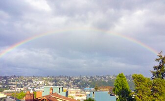 2349 W Newton St in Seattle, WA - Building Photo