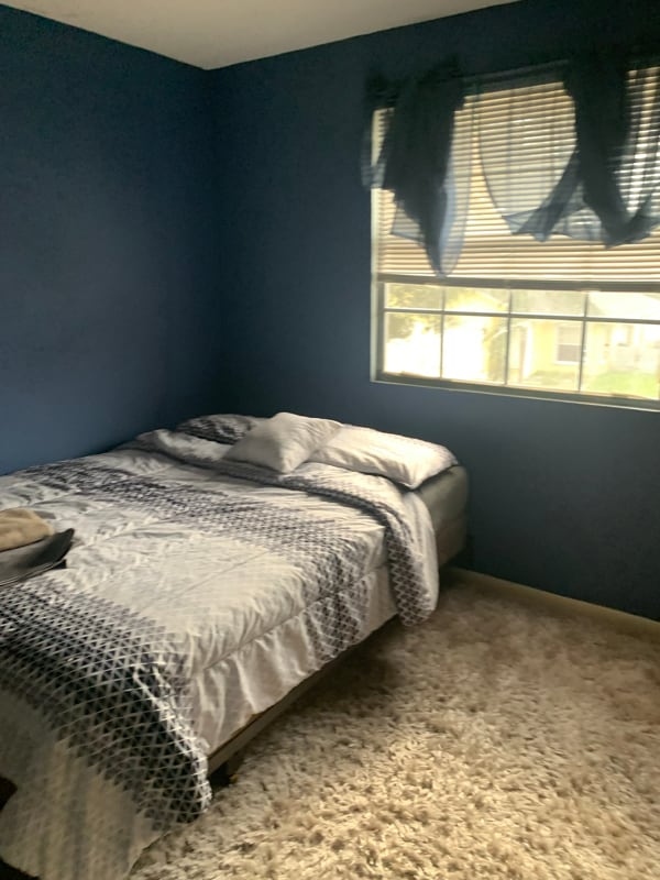 property at 146 Plumage Ln