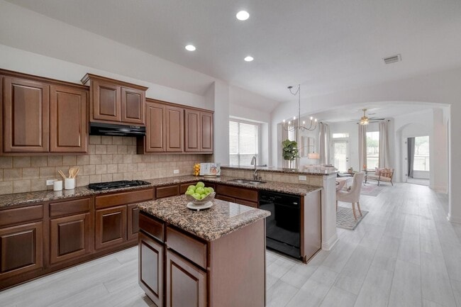 1633 Hidden Springs Path in Round Rock, TX - Building Photo - Building Photo