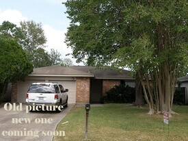 16611 David Glen Dr in Friendswood, TX - Building Photo
