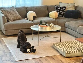 537 N Adams St, Unit 217 in Glendale, CA - Foto de edificio - Building Photo