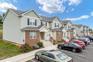 Blue Ridge Luxury Townhomes in Verona, VA - Building Photo