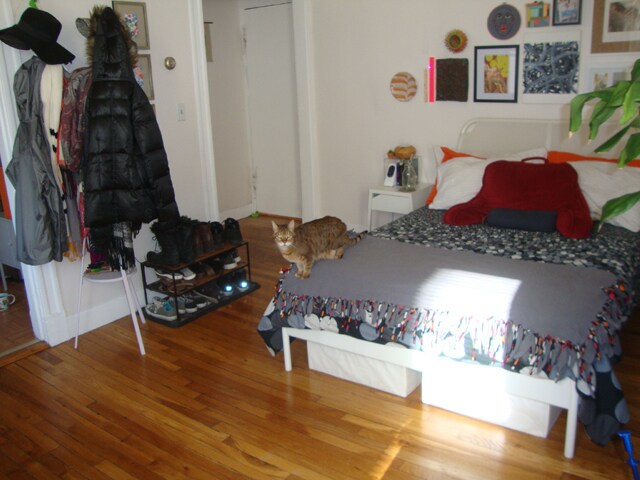 4 Ransom Rd, Unit 1 in Boston, MA - Building Photo - Building Photo