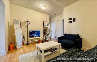 62 Egmont St in Brookline, MA - Building Photo