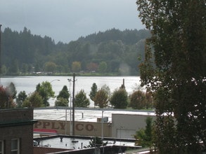 Stuart Place in Olympia, WA - Foto de edificio - Building Photo