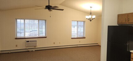 385 Main St in Lomira, WI - Building Photo - Building Photo