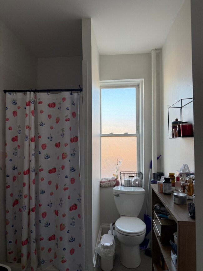 44 Euston Rd, Unit 17 in Boston, MA - Building Photo - Building Photo