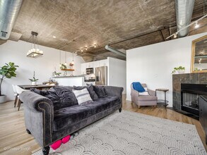 1071 W 15th St in Chicago, IL - Building Photo - Building Photo