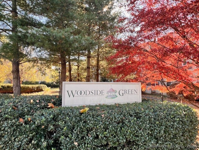 134 Woodside Green in Stamford, CT - Foto de edificio - Building Photo