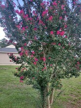657 Kemper Dr in Evans, GA - Building Photo - Building Photo