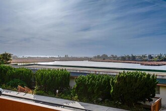 2475 Jefferson St, Unit 103 in Carlsbad, CA - Building Photo - Building Photo