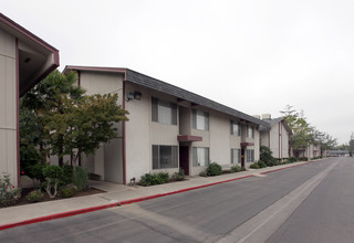 Cedar Gardens Apartments in Fresno, CA - Building Photo - Building Photo