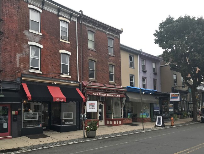 4331 Main St in Philadelphia, PA - Building Photo - Building Photo