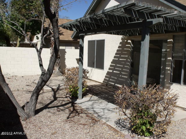 5205 W Jupiter Way S in Chandler, AZ - Building Photo - Building Photo
