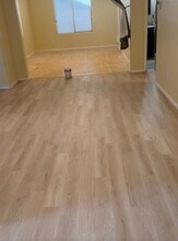 4209 E Spur Dr in Cave Creek, AZ - Building Photo - Building Photo