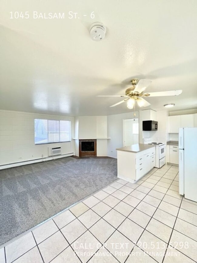 1045 Balsam St in Lakewood, CO - Building Photo - Building Photo