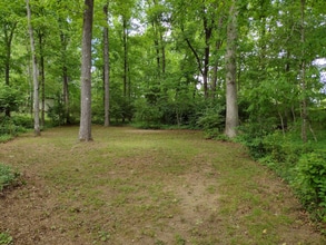 242 Swain Dr in Clarkesville, GA - Building Photo - Building Photo