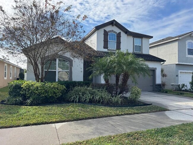 12377 Streambed Dr in Riverview, FL - Building Photo - Building Photo