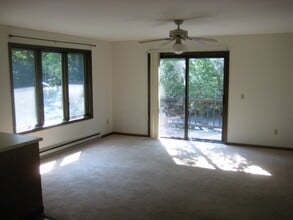 64 Summer St in Amherst, MA - Building Photo - Building Photo