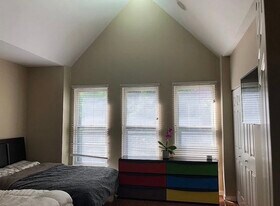 842 W 15th Pl in Chicago, IL - Building Photo