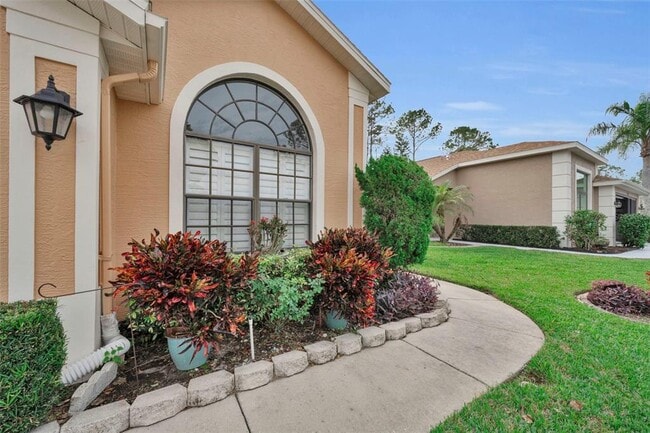 9630 Green Needle Dr in New Port Richey, FL - Building Photo - Building Photo