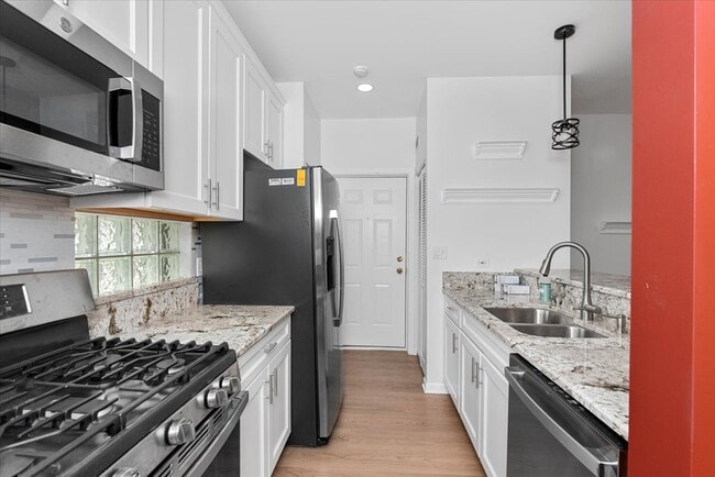 301 W Goethe St in Chicago, IL - Foto de edificio - Building Photo