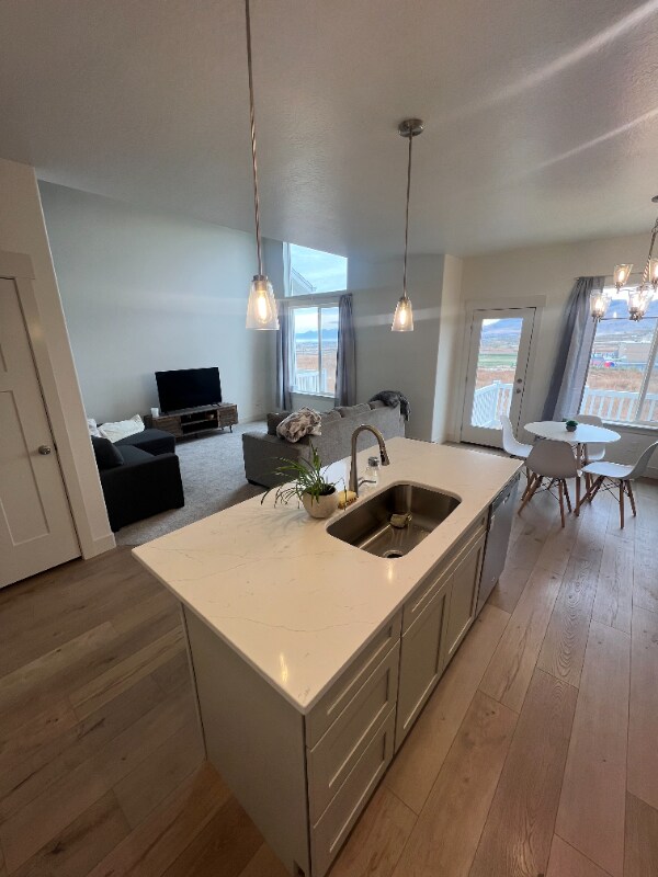 987 W Coral Charm Wy in Saratoga Springs, UT - Building Photo - Building Photo