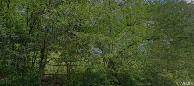 property at 3316 Branch St