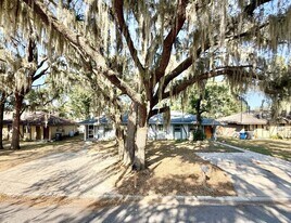 1339 Eagleview Dr in Brandon, FL - Building Photo