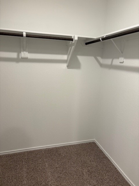 property at 14234 Northern Pintail Ct