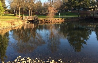 Park Lake in Beaverton, OR - Foto de edificio - Building Photo