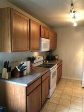1703 Steamboat Ln in Columbia, MO - Building Photo - Building Photo
