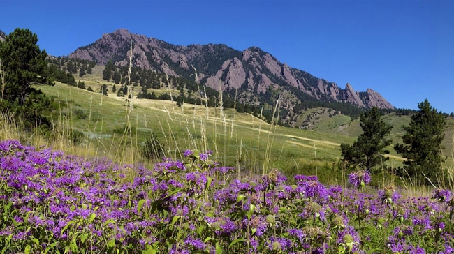 4196 Greenbriar Blvd in Boulder, CO - Building Photo - Building Photo