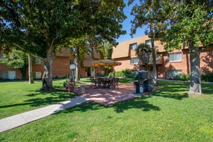 BELLA FLORA in Tucson, AZ - Building Photo