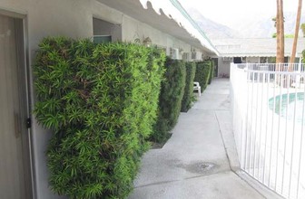 807 E Cottonwood Rd in Palm Springs, CA - Building Photo - Building Photo